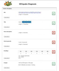 Screenshhot SEOquake-Diagnosis für einen Hartmetallhersteller